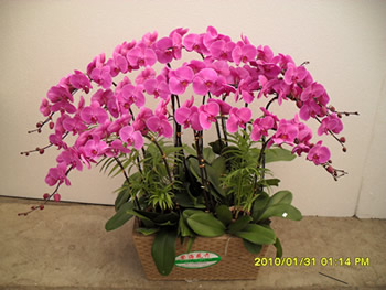 20151230025313977